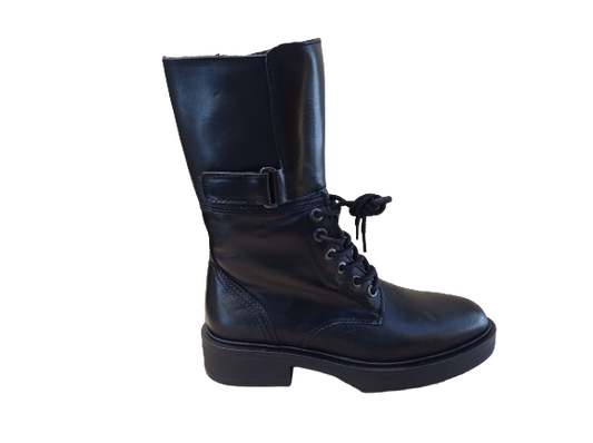 Anfibi cerniera -ALPE