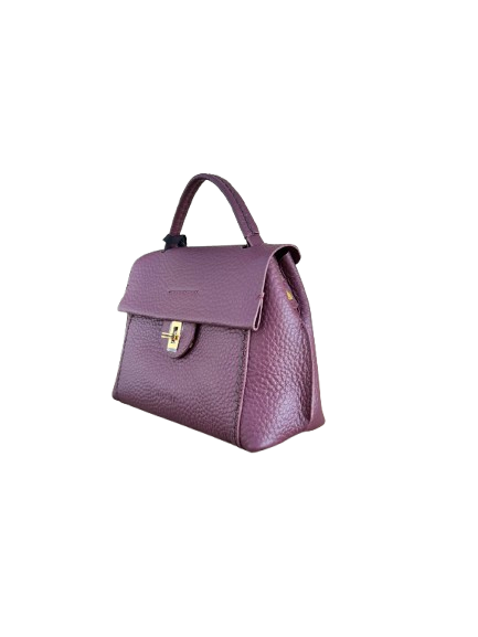 Borsa Viola bordeaux - PLINIO VISONA'