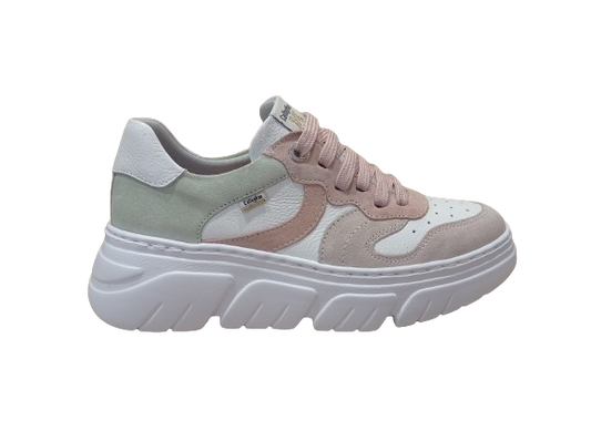 Sneakers Baccara Pesca - CALLAGHAN