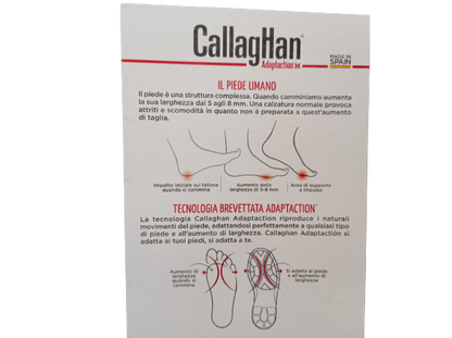 Sneakers Nube - CALLAGHAN